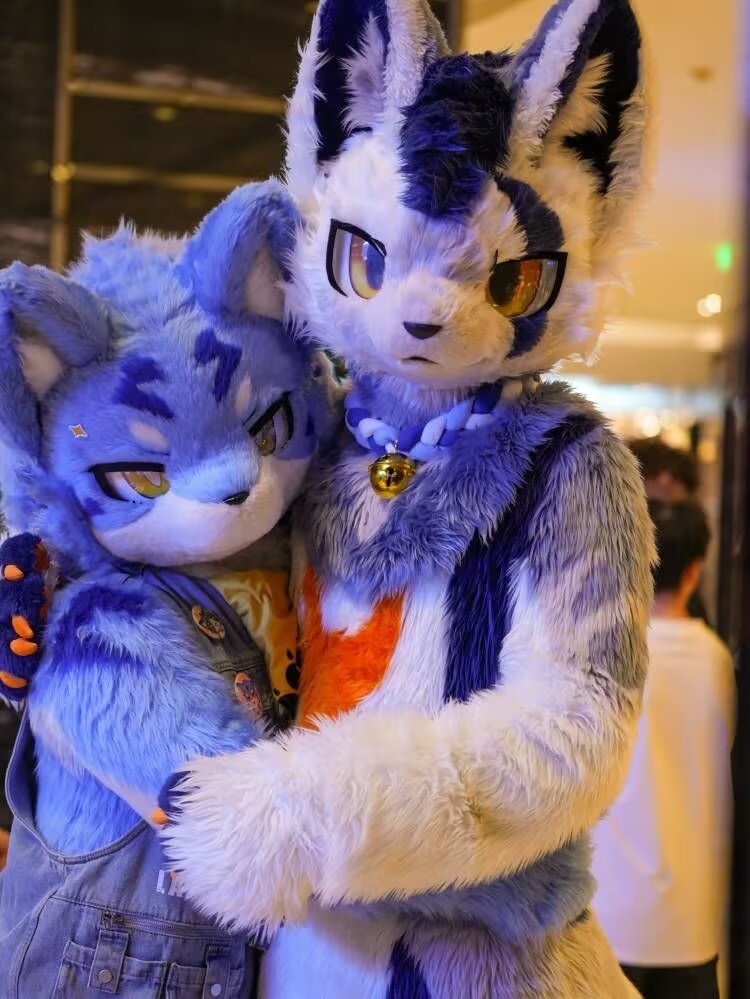 AdminBurst's tweet photo. #FursuitFriday #FursuitEveryday
🔷蓝🔷与🔶橙🔶
另一只： @yizhiSonder 
拍摄：@黑桃♠️ https://t.co/HYwoQyq5Ed