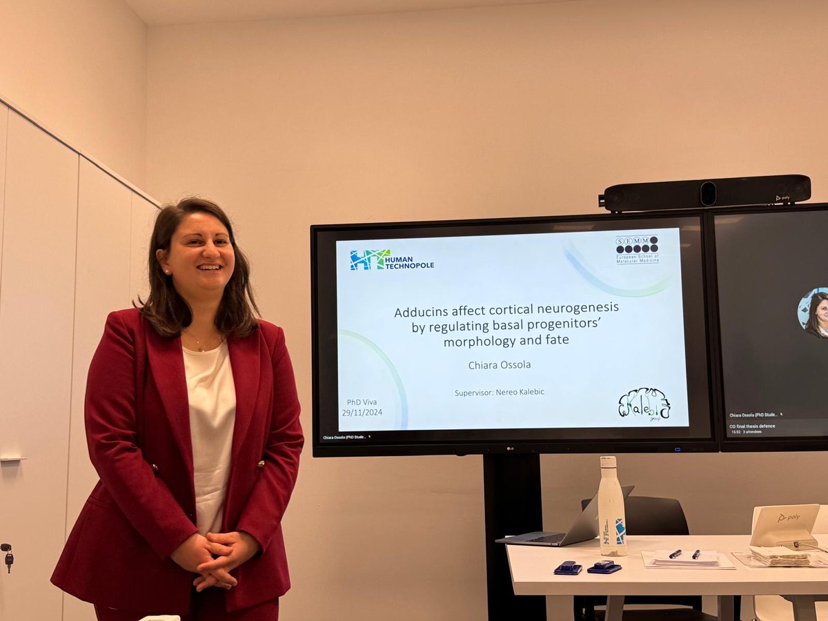 Nereo Kalebic tweet media