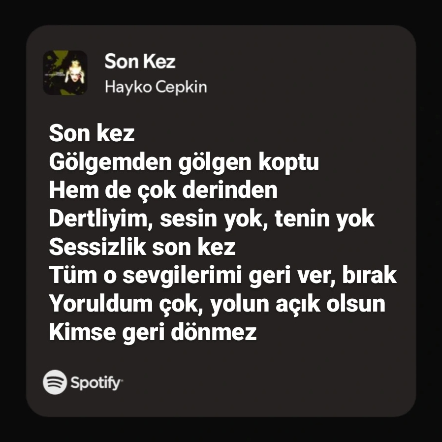 hayko cepkin lyric bot (@haykolyric) on Twitter photo 