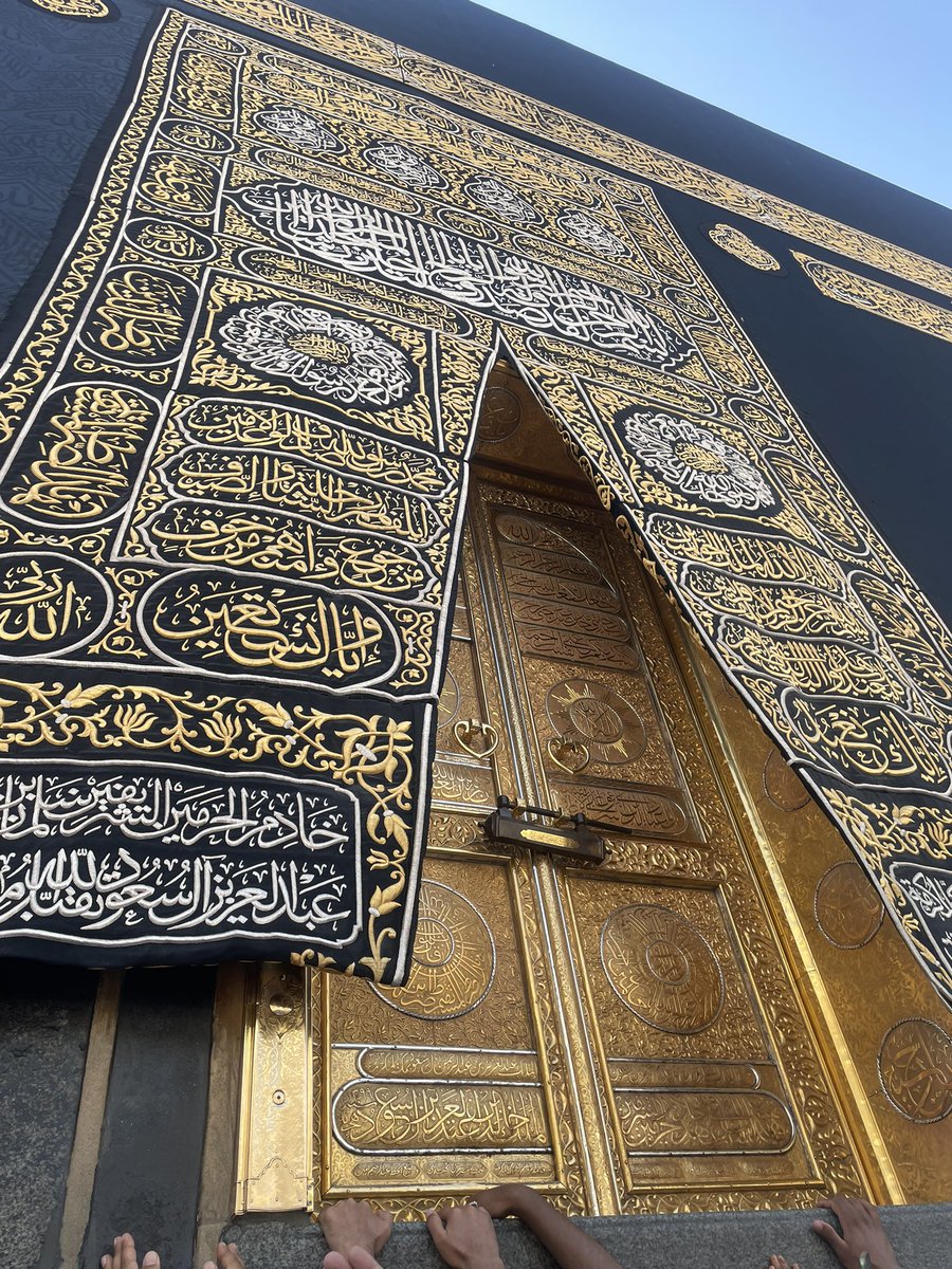 sekerportakalı tweet media