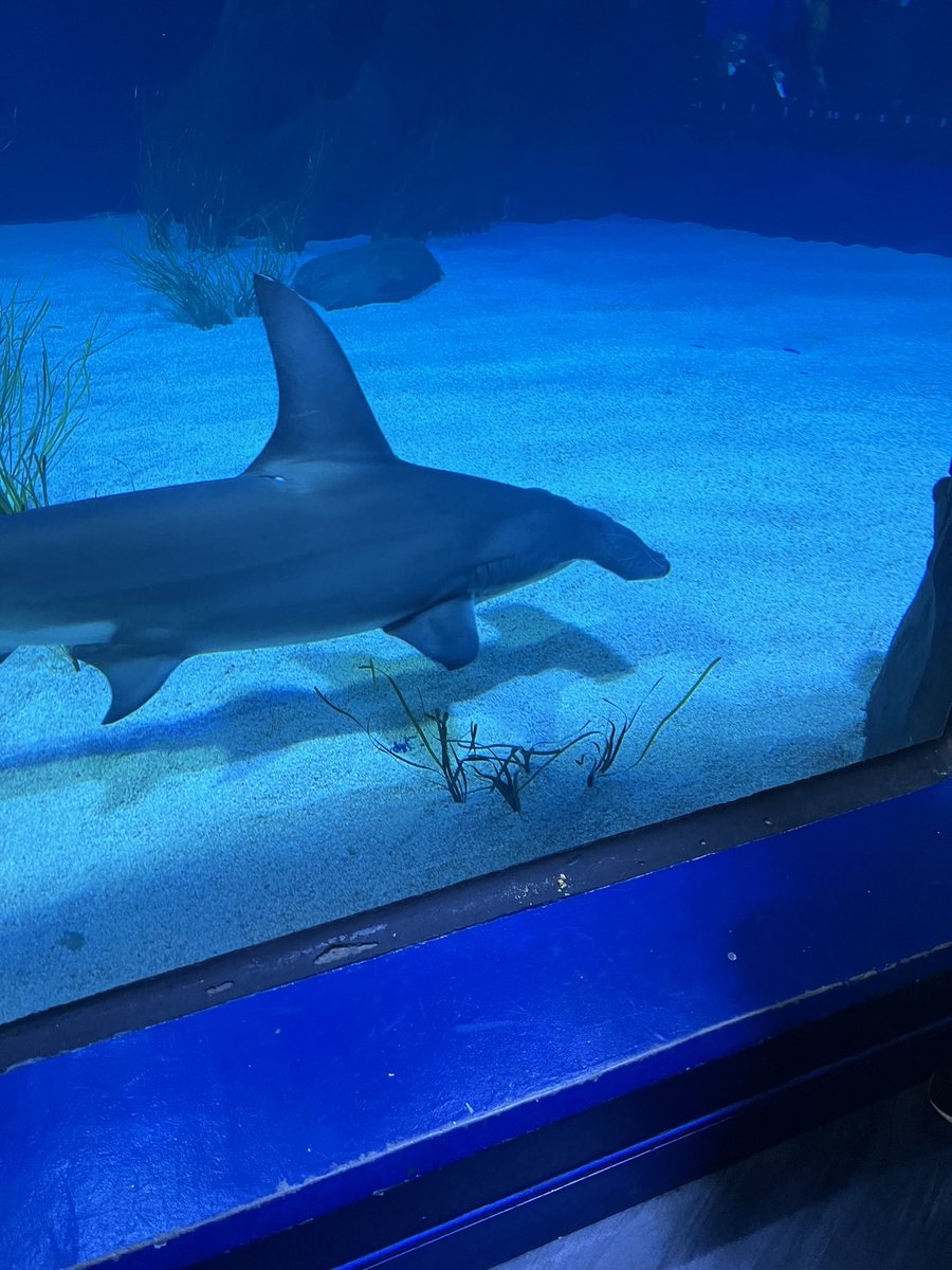 Joshua Trenkamp (@joshtrenkamp) on Twitter photo 