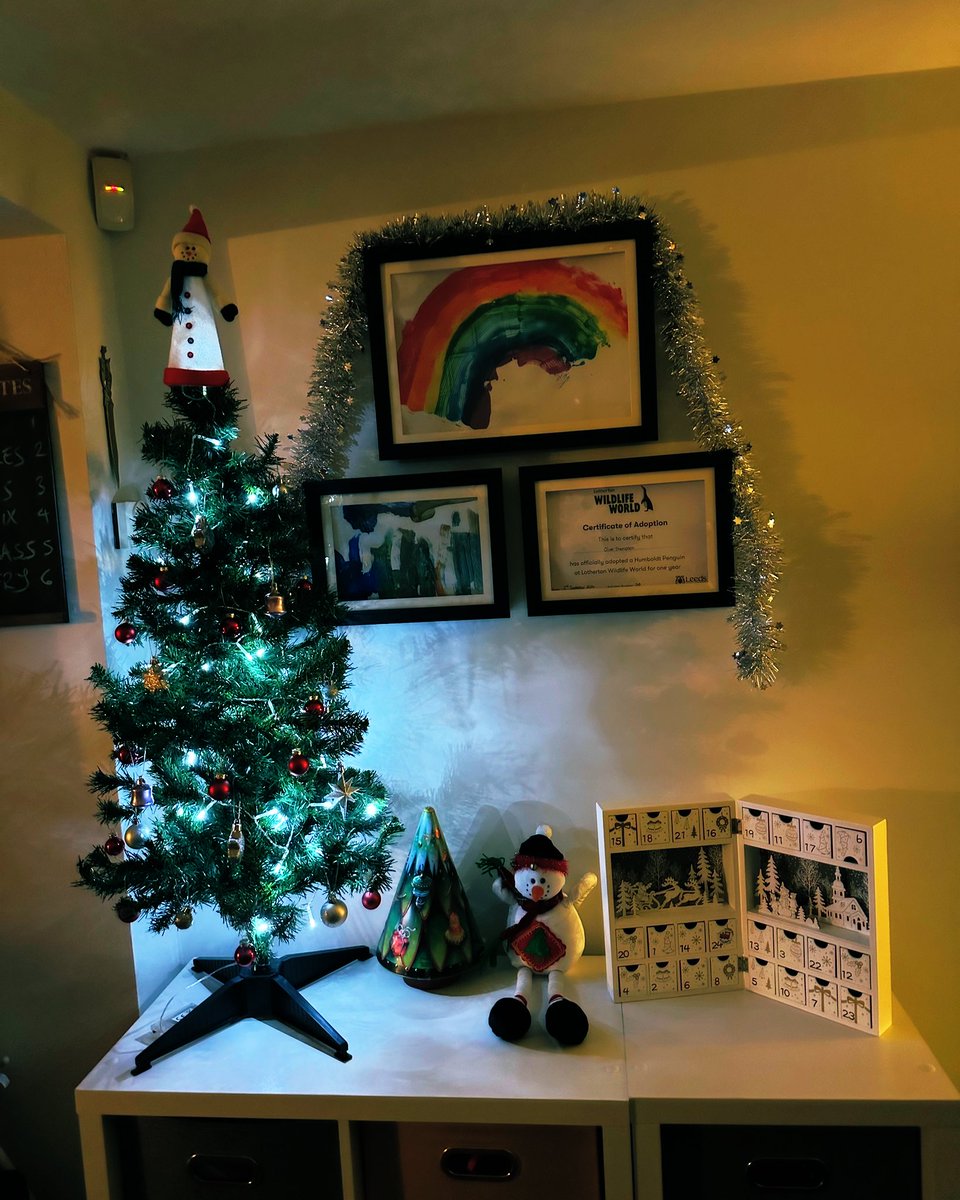 A slight panic with the realisation tomorrow is the 1st of December. Another slight panic of where the hell did I put the advent calendar I purchased last year…… eventually I found it and have erected the first of the Xmas trees 🌲 🌲🌲🌲