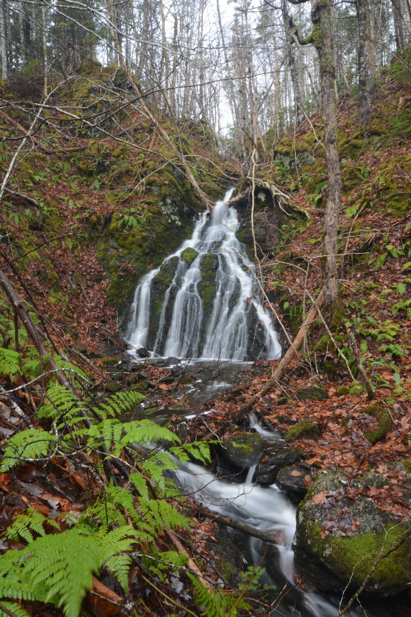 benoitlalonde's tweet image. A most elusive sight, a vastly under explored if at all waterfall set in the woodlands of Cape George, Antigonish Co.  It&apos;s about 22ft in height.  Details will be coming via trailpeak #neverstopexploring!