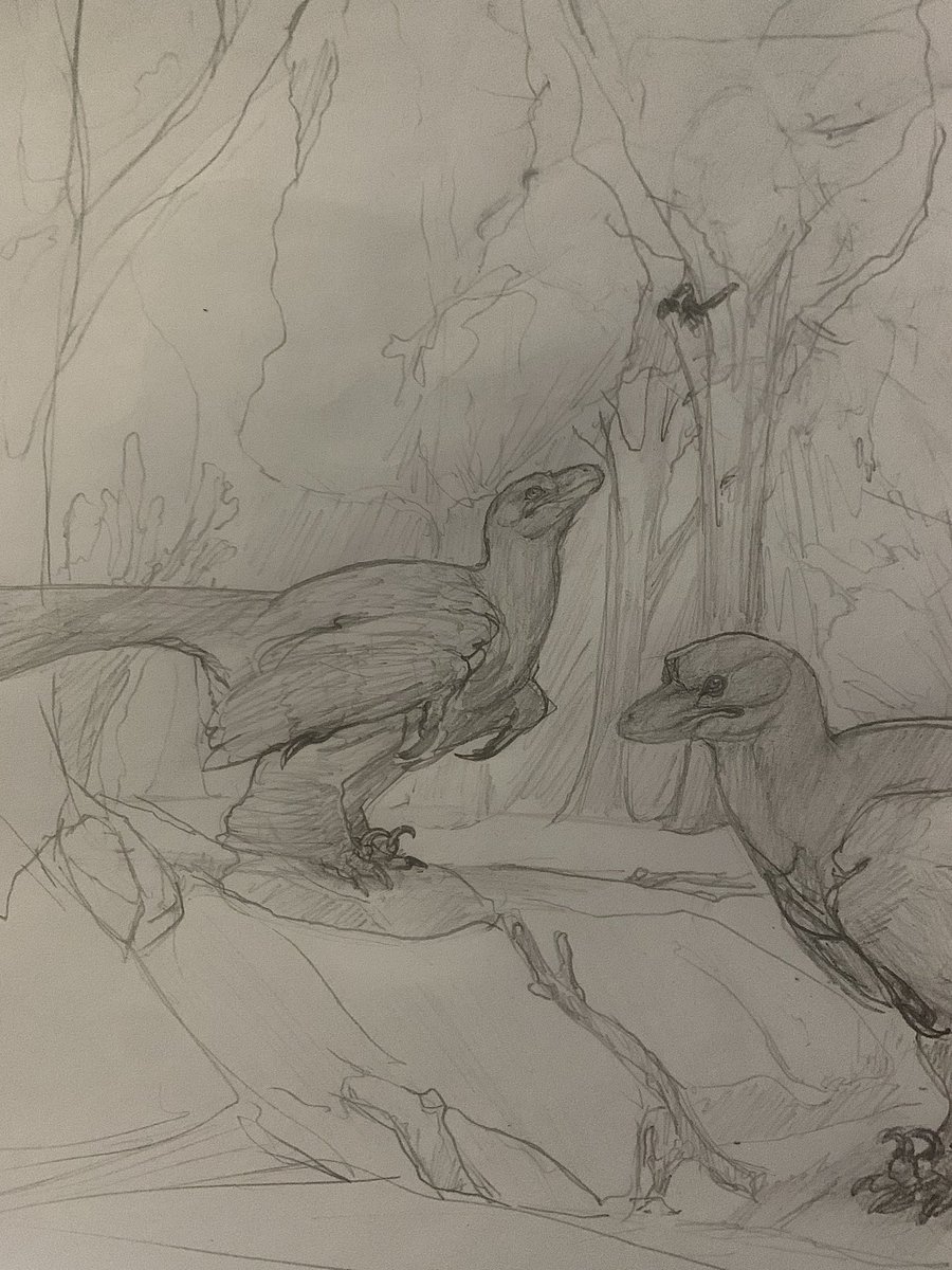 casualsoapeater's tweet image. Dinovember 2024
30: Microraptor
Finishing with a banger! (I hope…?)
Banger animal anyway :p
#dinovember #paleoart