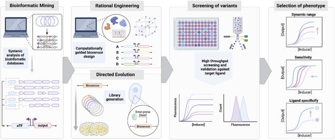 Genetically encoded biosensors for the circular plastics bioeconomy
doi.org/10.1016/j.mec.…
