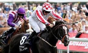 theunsunghorses's tweet image. Sole power underrated ? 5 group 1s over 2 million in winnings but not talked about as one of the greats in sprinting terms surely he should be what’s your thoughts ? #horseracing #memories #solepower