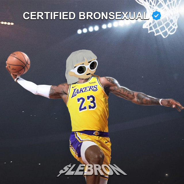 $LEBRON on SOL tweet media