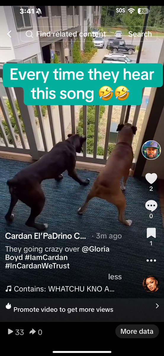 IamCardan's tweet image. They going crazy over @Gloria
Boyd #lamCardan #InCardanWeTrust