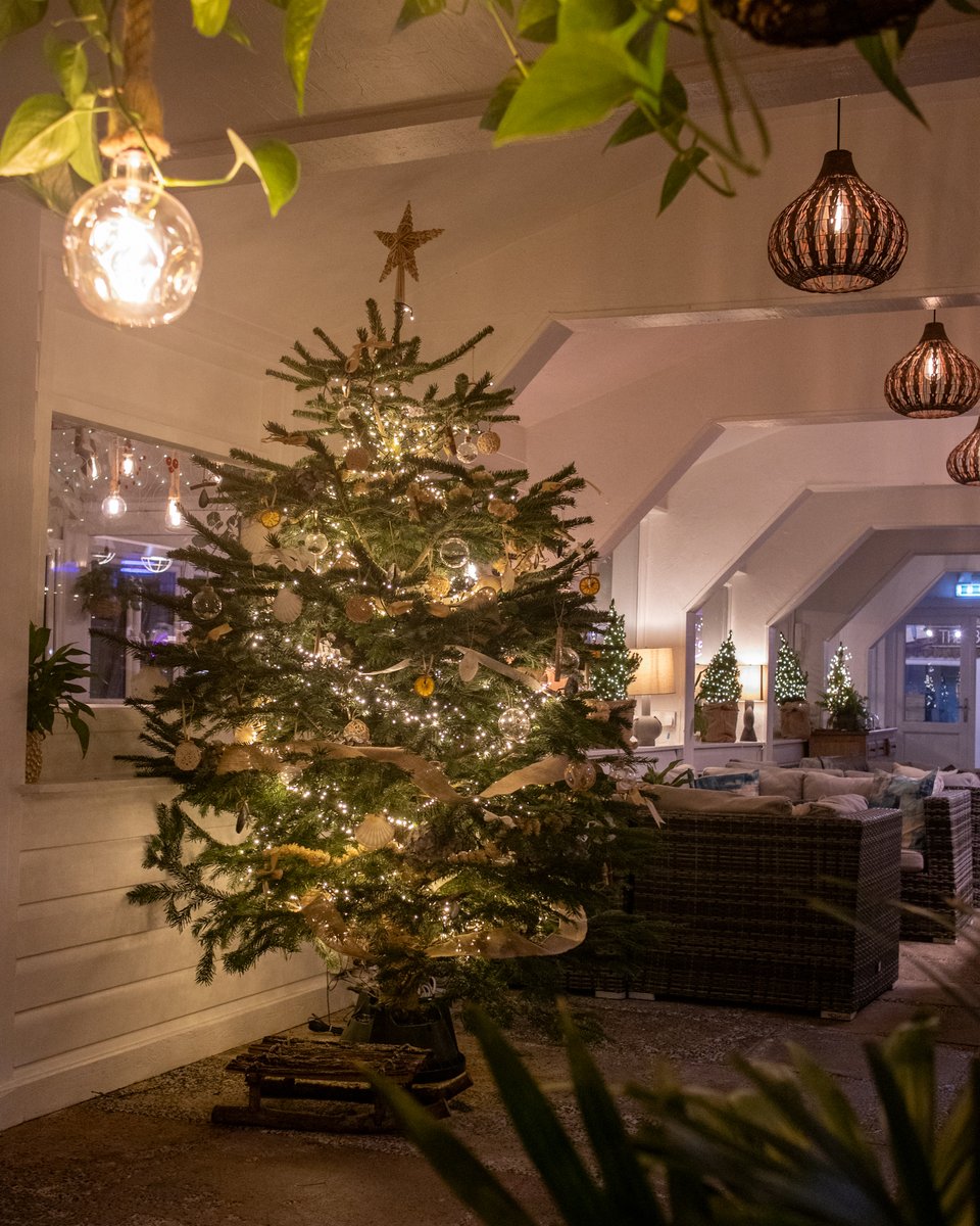 Christmas has arrived at our cosy cove 🎄✨