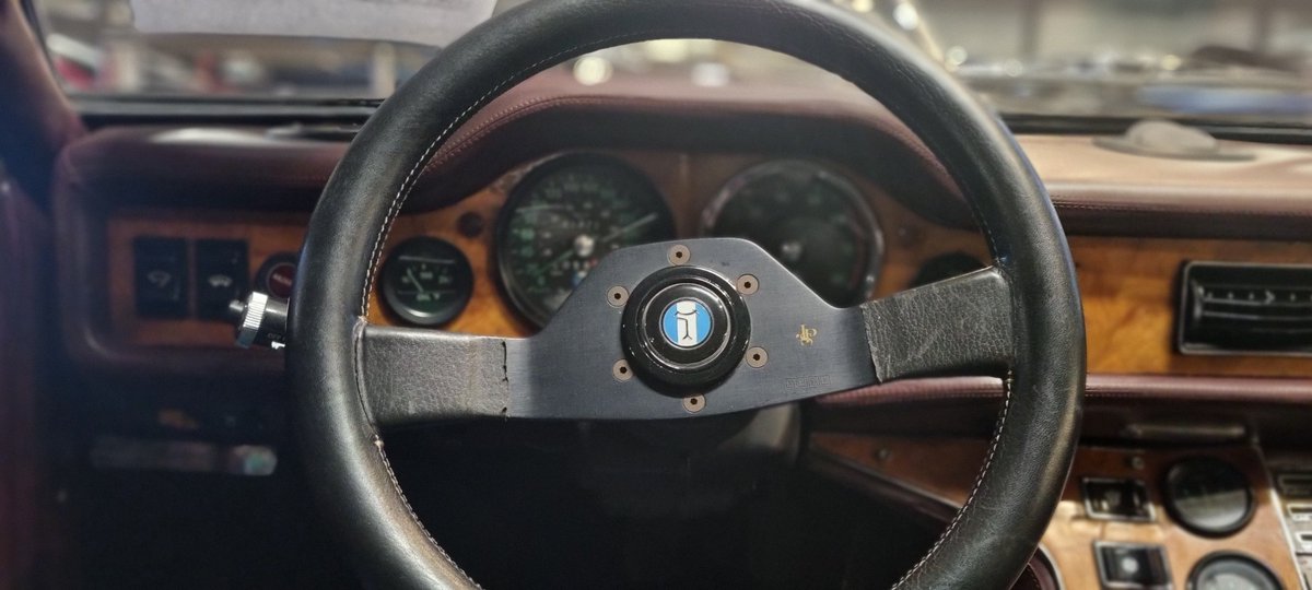 Mustang 🇳🇱 tweet media