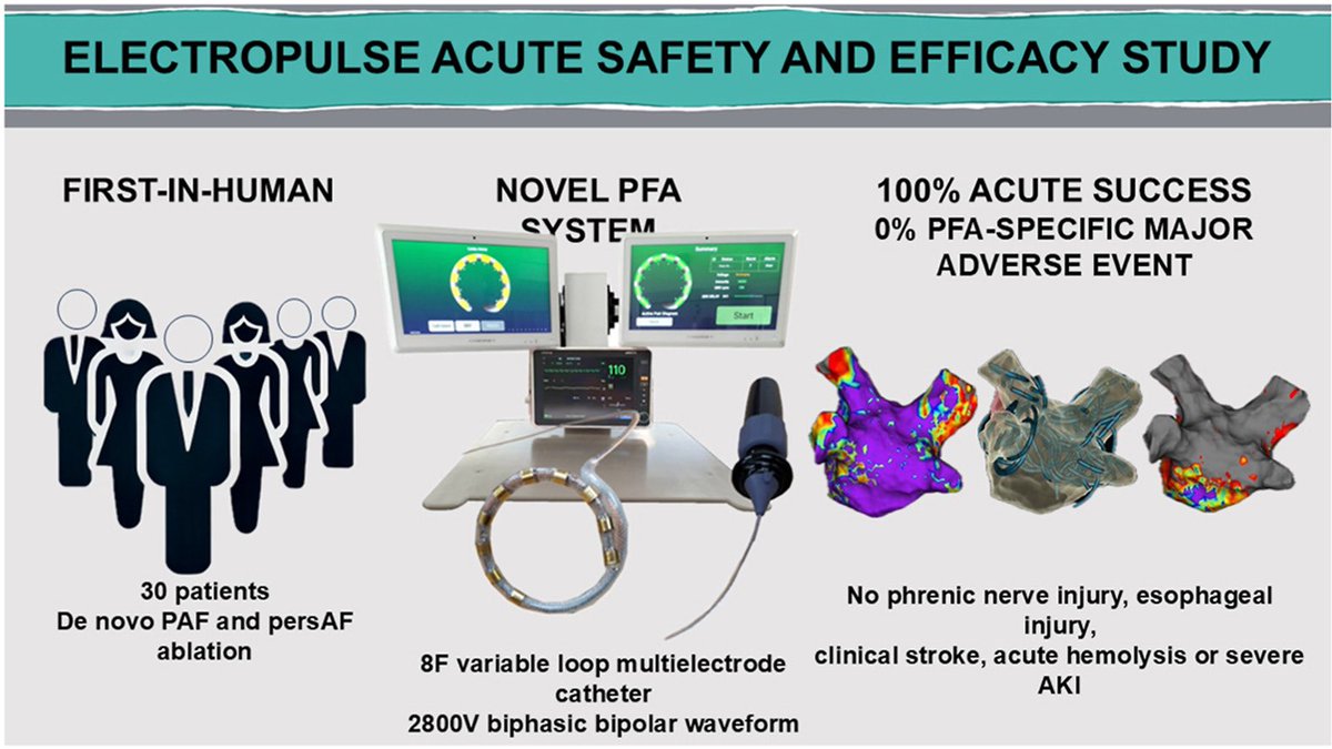 ElectroPulse PFA - great to see this PFA from Australia emerge

Our FIH experience with the CathRx system: url.au.m.mimecastprotect.com/s/SeFJCL7Ey2Sx…

Advantages this system offers
1. Safe delivery of high energy - 2800 V - enhancing irreversible electoporation
2. 8F - used with the Agilis or SLO