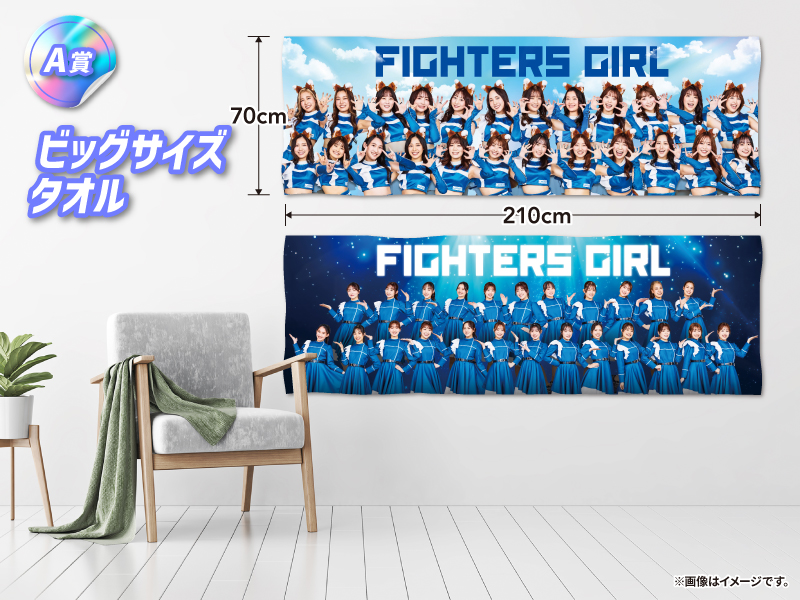 プロ野球】北海道日本ハムファイターズ～ファイターズガール