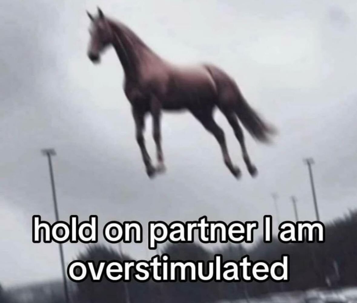 🕐HOURLY🕑 shitpost (@hourly_shitpost) on Twitter photo 