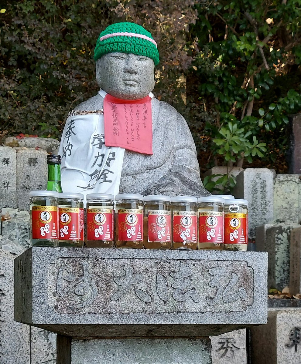 ShibataBread's tweet photo. I haven't been back in Japan for almost five years, but this jiso-san knows how to party. https://t.co/I2KkZPdSaK