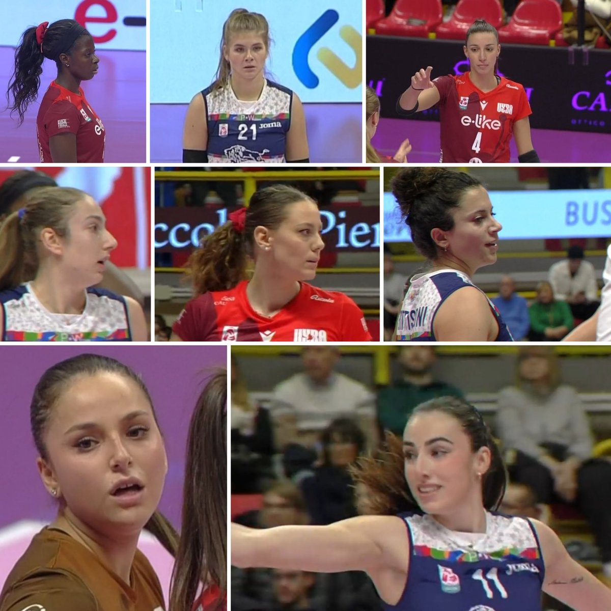 darko bay tweet media