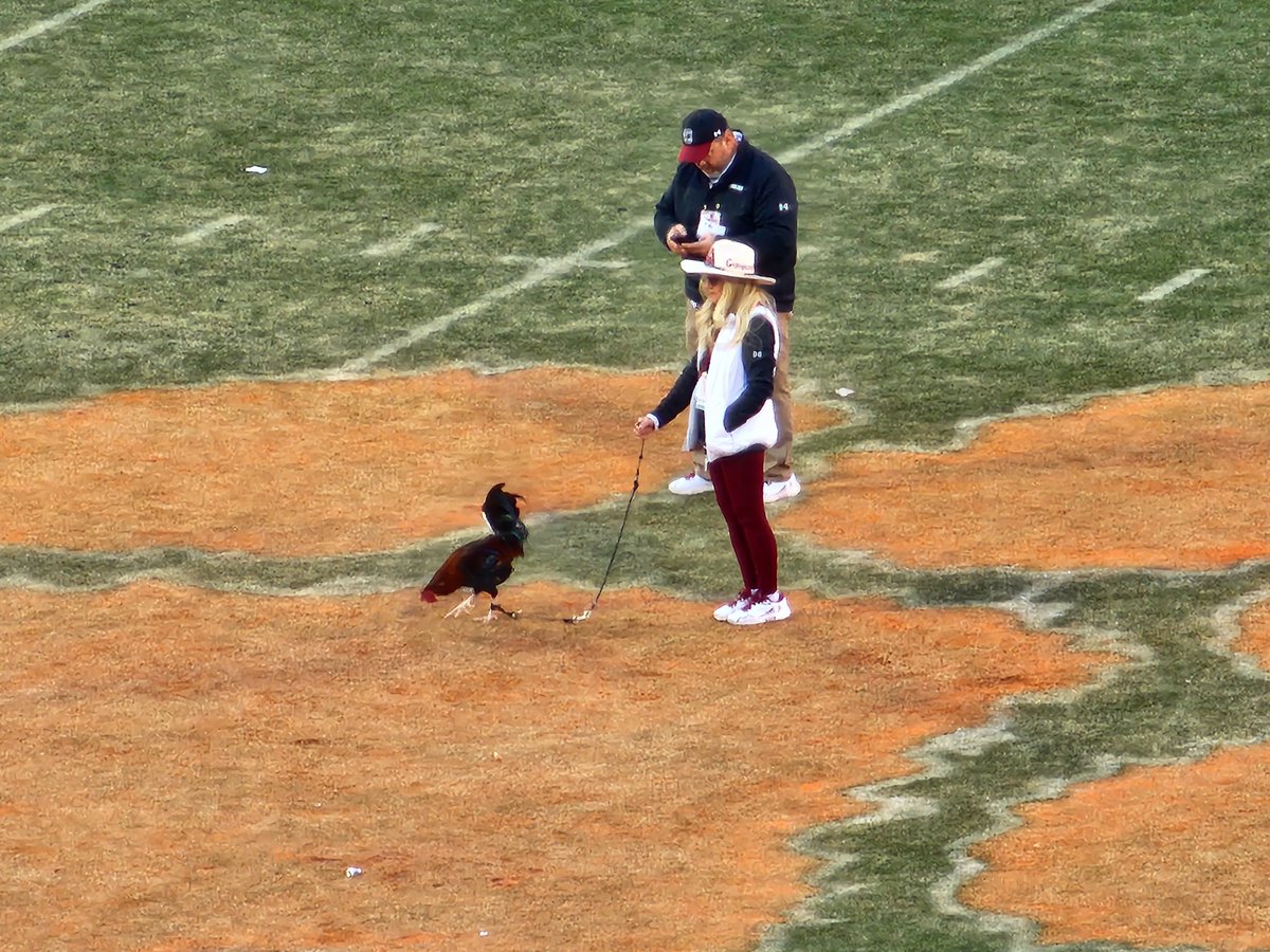 David Hood tweet media