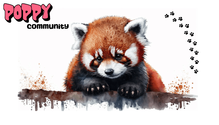 Poppy The Baby Red Panda | Fan Page tweet media