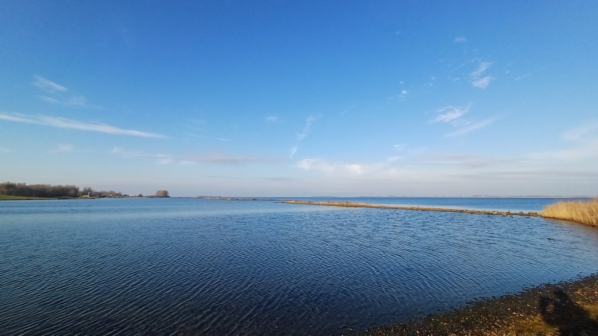 Jer⭕nim⭕ tweet media