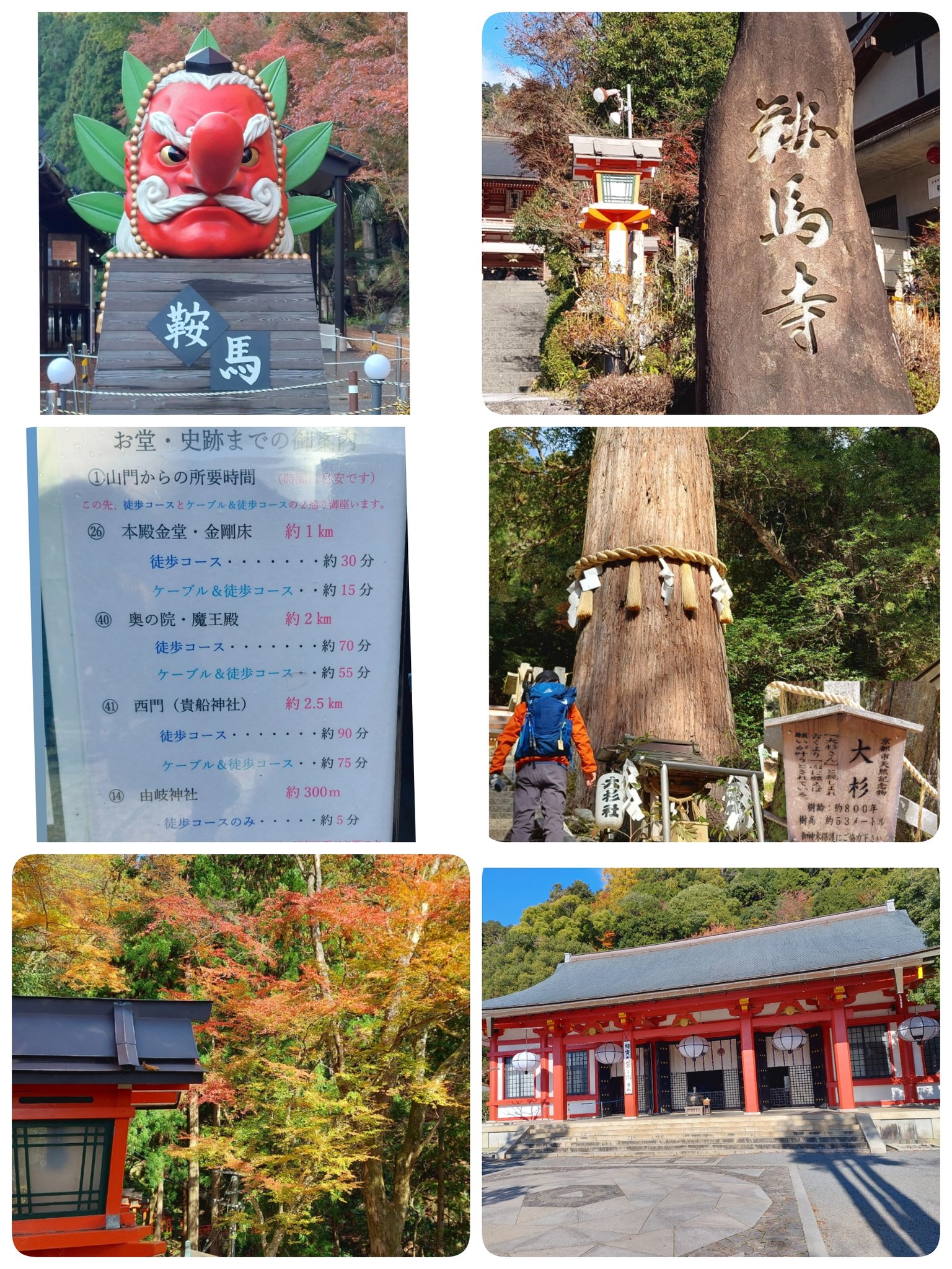 えいちゃん ホロライブオフィシャルカードゲーム OUR 沙花叉クロヱ 沙花叉