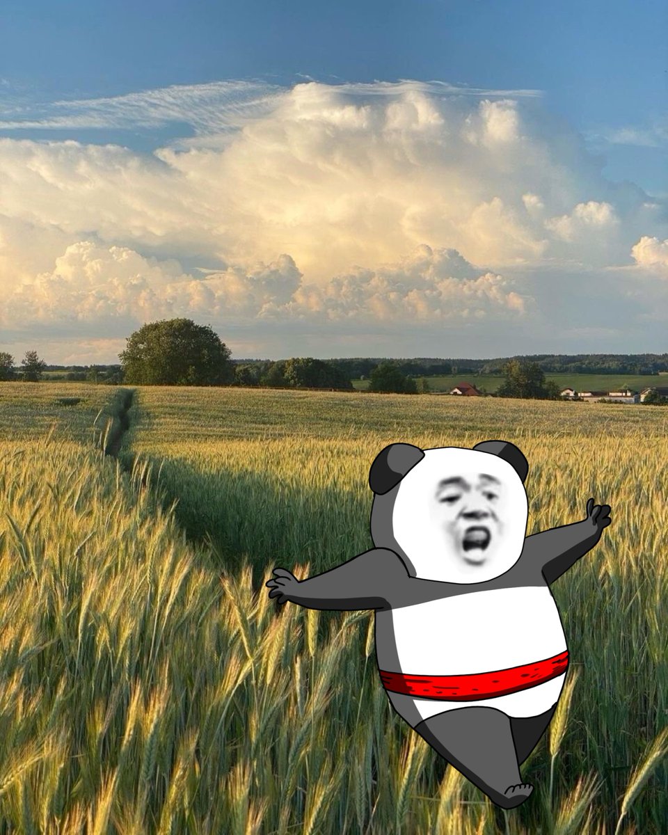 Touch grass weekends once again! 

 再次享受触摸草地周末！