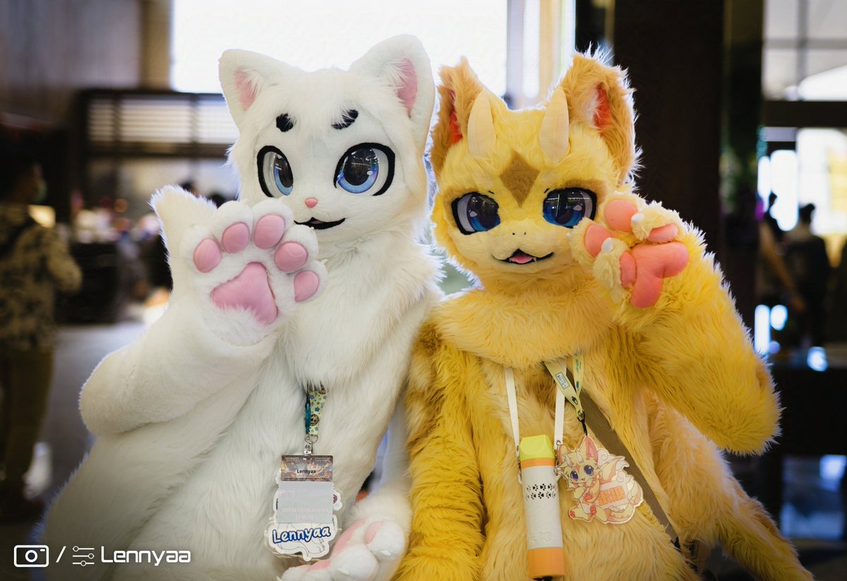 Lennyaa ➡️Scotia➡️NFC➡️CFz➡️EF tweet media