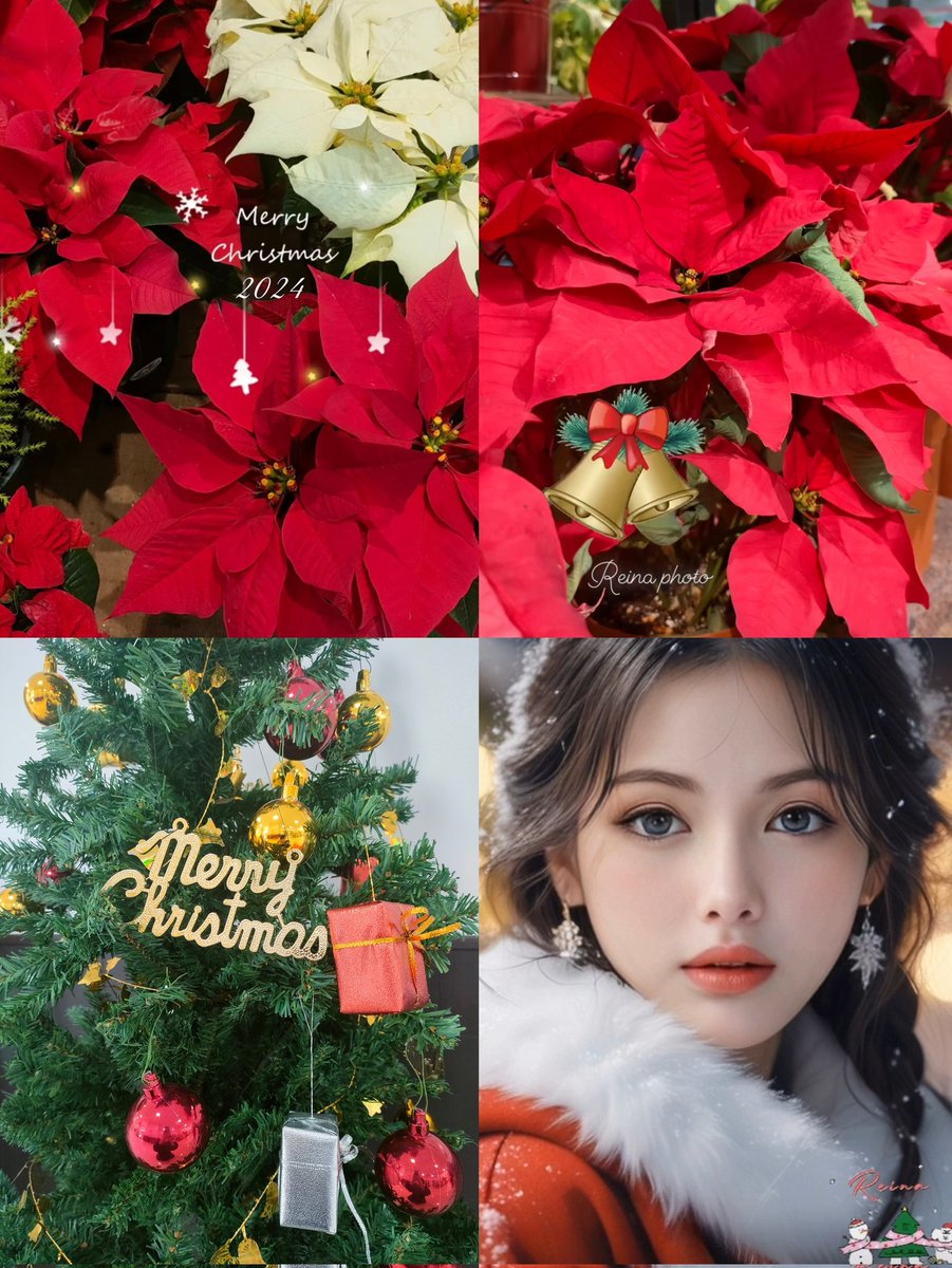 Happy new month 𝕏 friends😽❤️
🎄✲🔔💫*｡❄°*｡🎄✲🔔💫*.❅🎁
Best wishes for a wonderful and
festive December🧑‍🎄🧣*.❄🧤⋆❅
🎄🧦°.🎄🎁°.🎄🧦°.🎄🎁°.🎄

12月も*ᴗ ᴗ)⁾⁾♡ﾖﾛｼｸぉ願ぃｼﾏｽ•••ෆ
🎀𖢔꙳𐂂𖥧˖* Reina ࿄·˖*𖢔꙳𐂂𖥧˖*࿄🎀