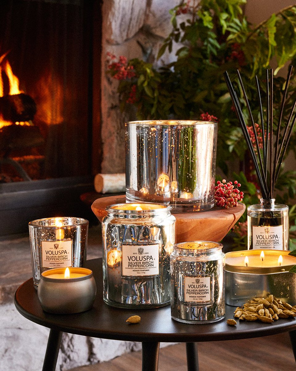 Transition from fall to festive with Silver Birch Peppercorn's warm &amp; spiced notes, beaming through gilded silver glass. Shop now: bit.ly/4hCsfRd