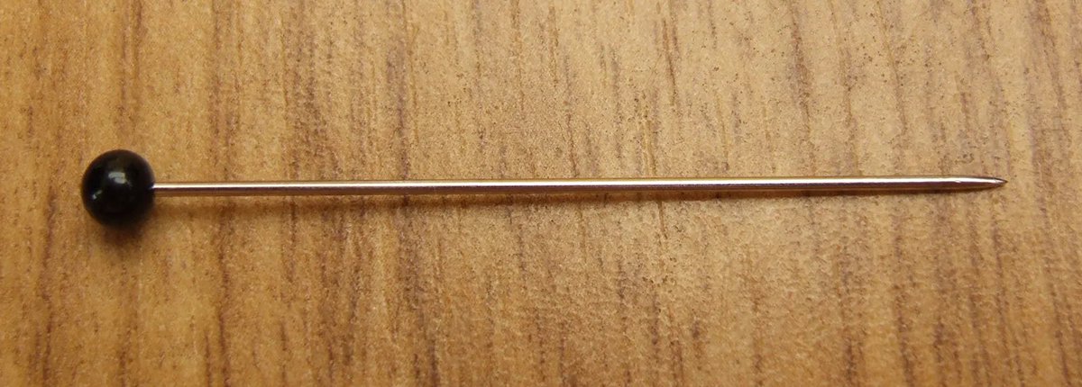 Shanti “masking” Leonard tweet media