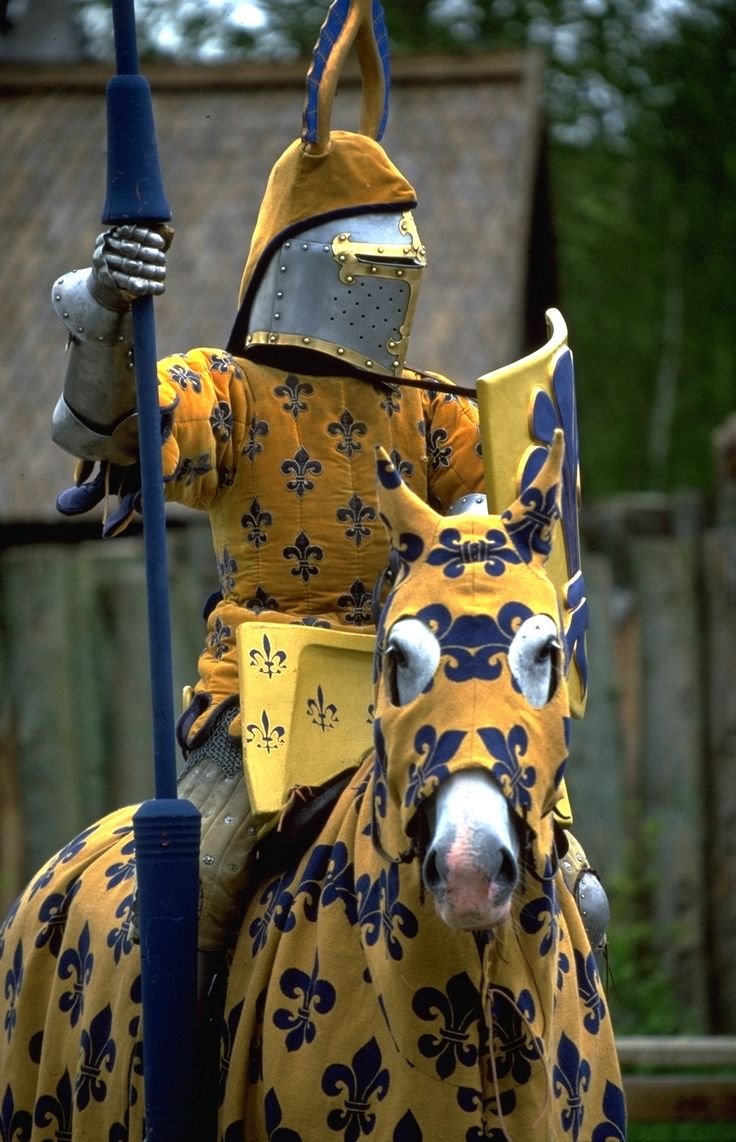 knightsnflowers's tweet image. 