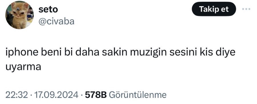 Alnı Öpülesi Tivitler (@alniopulesitivt) on Twitter photo 