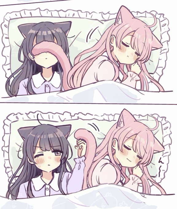 ふしぎな猫のまち メルティア 1〜3巻 佐倉おりこ イラスト入りサイン本 ふしぎな猫のまち メルティア 3巻 佐倉おりこ イラスト入り