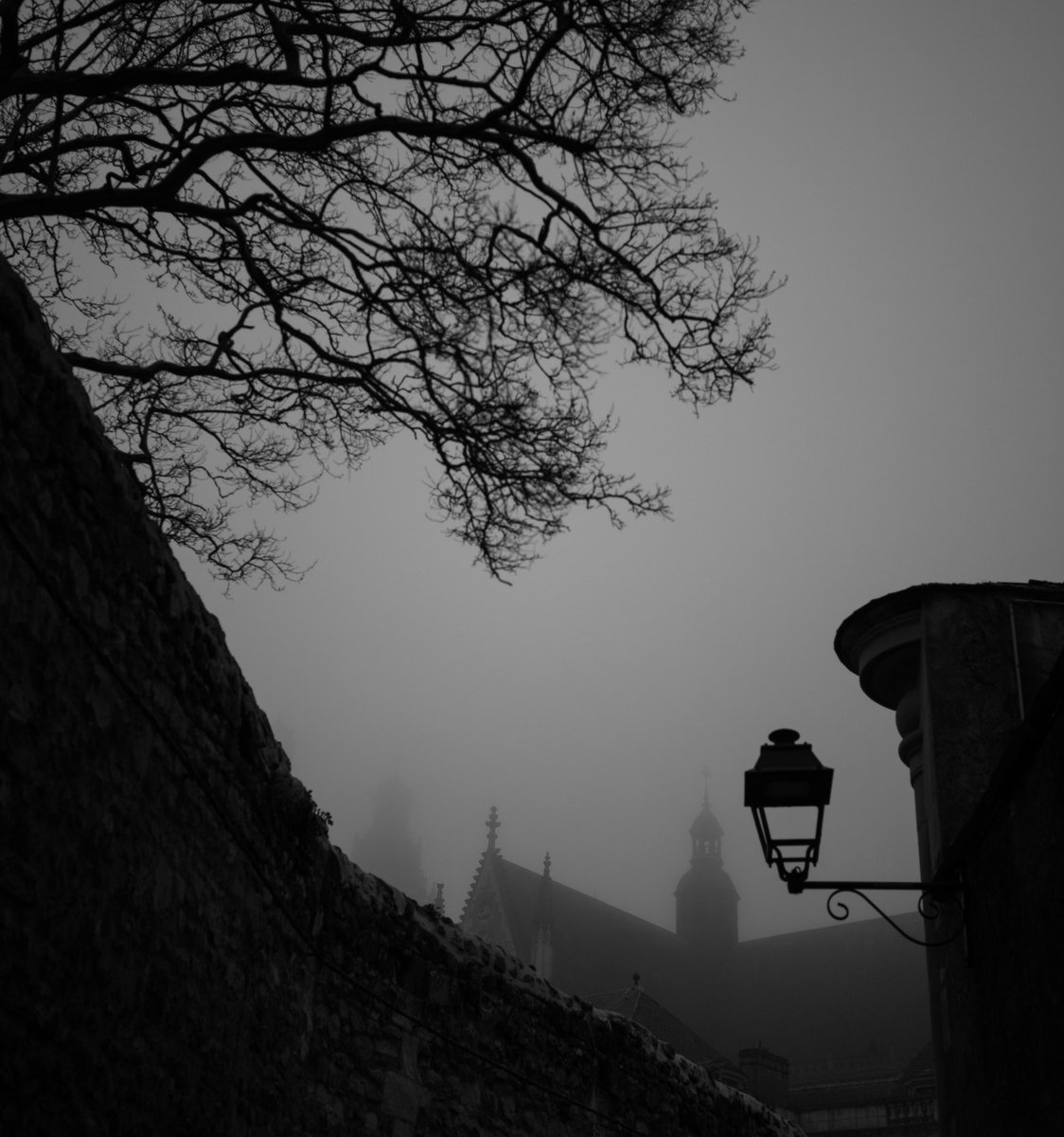 Saint gatien sous le brouillard #Tours #streetphotography #blackandwhite #leica
