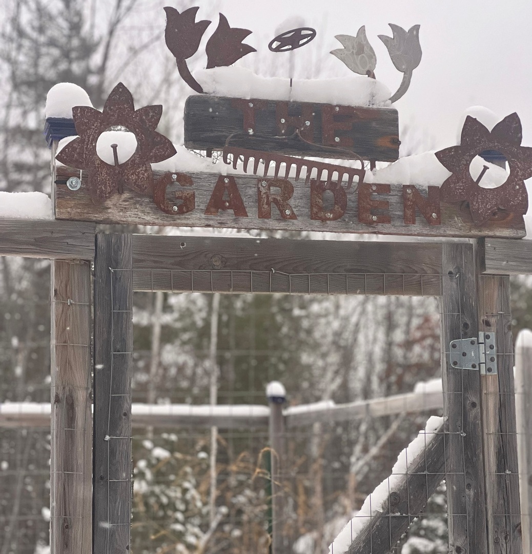 StephaniesDish's tweet photo. Northwoods #elymn #elyhilltopgarden get away. One cabbage and a few tomatoes hanging on the vine! Wehave about 6 inches of snow and its chilly! ❄️☃️🏂🎿🌨️ https://t.co/YbV00sqG2H https://t.co/1egLtBwggN