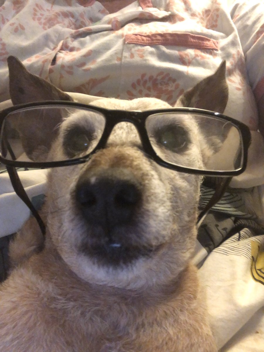 My crazy little daft one ❤️❤️