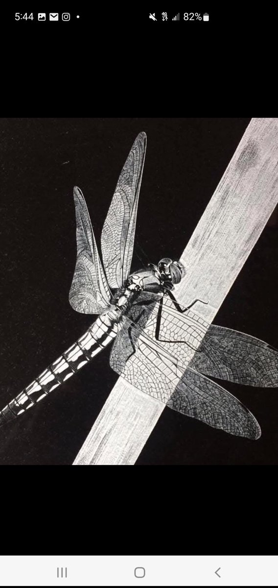 The man I tag is the artist. Have him draw your NFT's