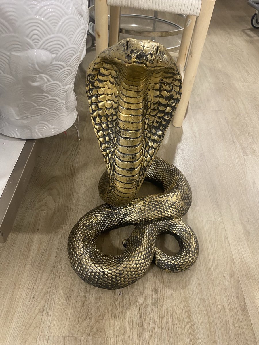 garysnakes's tweet image. 2025 is the Year if the Snake - Home Goods has some great stuff if you can’t make it to one of our 31 locations
