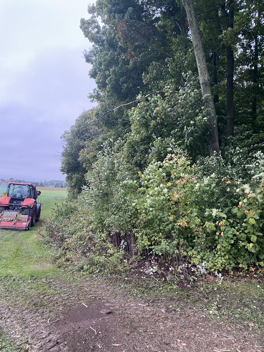 Going back through some pics from this past summer.  These three pics show precisely why we love doing what we do. Give us a few hours and we can properly redefine your field edges too.  #ontag #HauptTLM