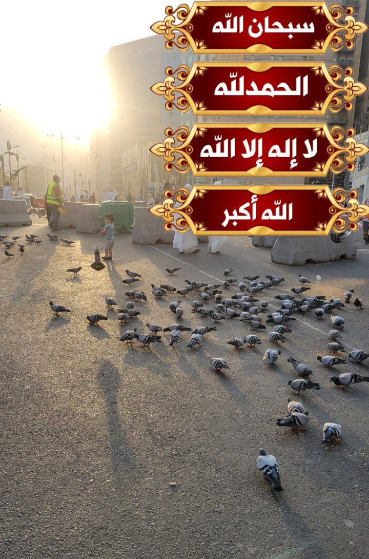 رضوانة محمد tweet media