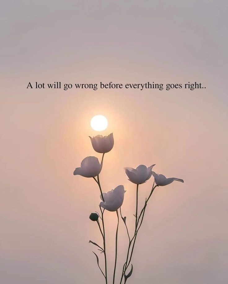 POSITIVITY (@positivitysaid) on Twitter photo 