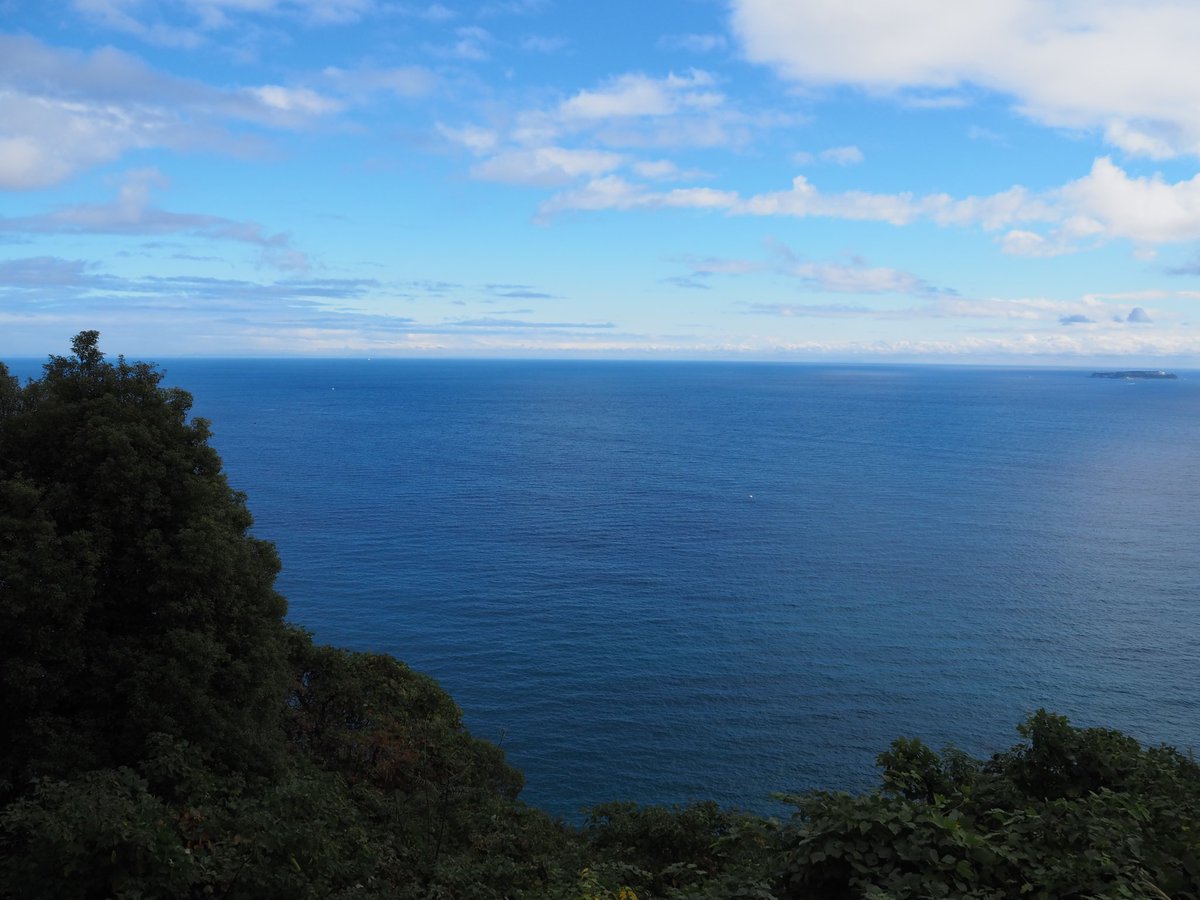 rin_flower_0813's tweet photo. 今日は移動が多くて大変だけど、旅行の写真見て癒されながら仕事頑張っているのだ https://t.co/5m0NP8Y0G8