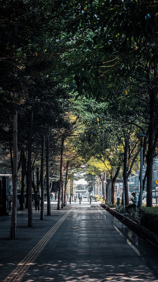 decemberprime's tweet image. Arashiyama? ❌ 
Jakarta ✅

#WithGalaxy #S22Ultra