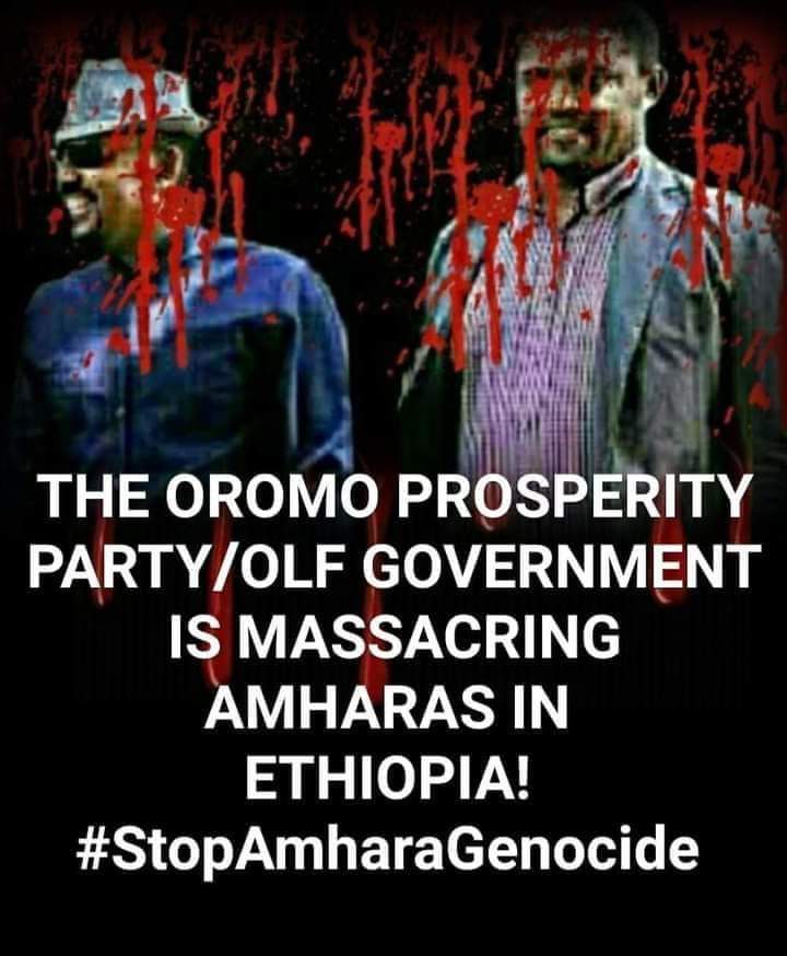Eliasyemariam's tweet photo. The #Ethiopian state-led war crimes &amp; violence has escalated severely in the #Amhara region. The Oromo extremists militant (OLA) systematically attacks civilian #Amharas in the Oromia region. The apparent motive of these attacks is ethinic cleansing. #AmharaGenocide @UNGeneva https://t.co/yigRWx30u4
