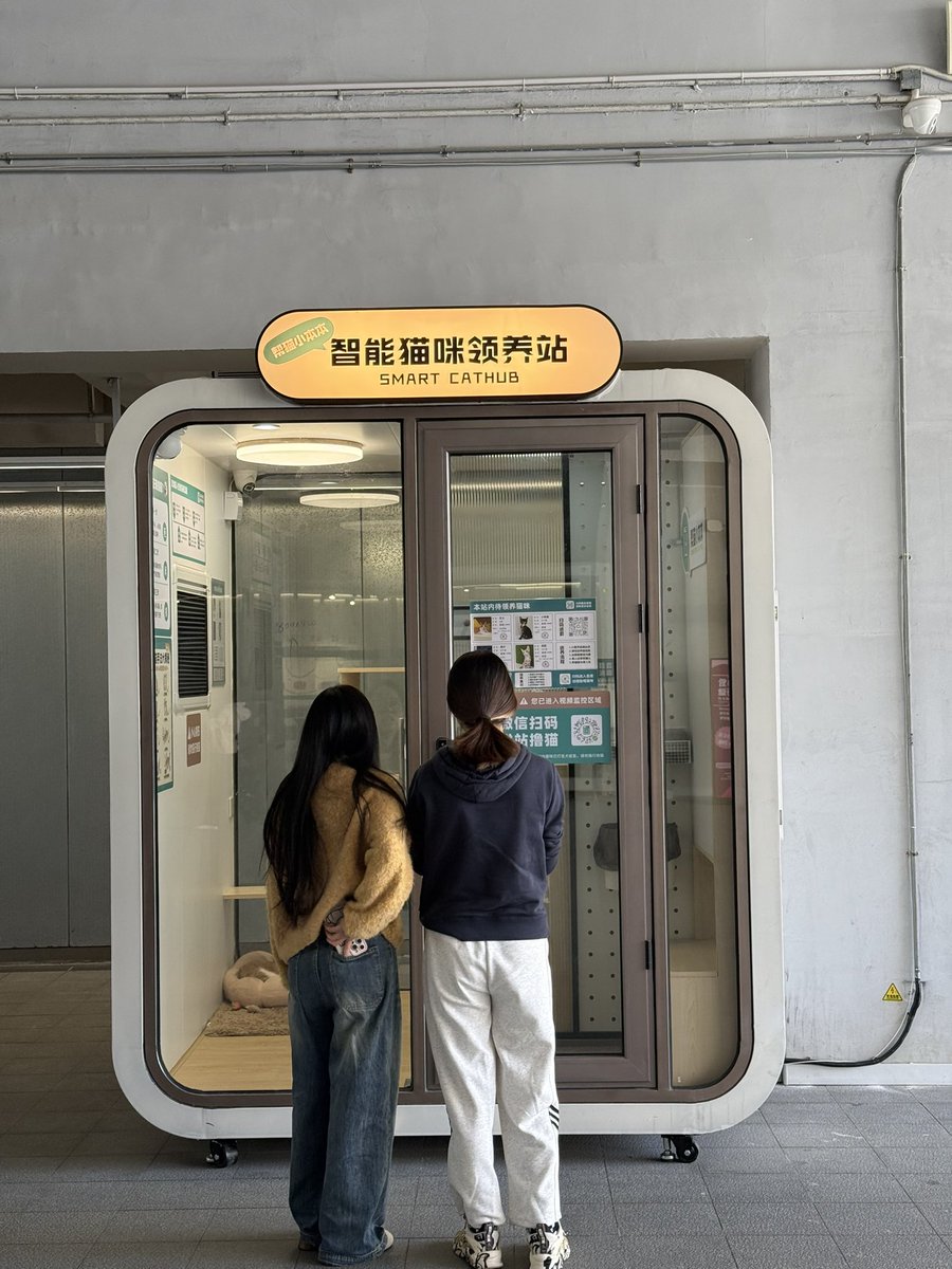 studyro's tweet image. 附近投放了好几个撸猫站