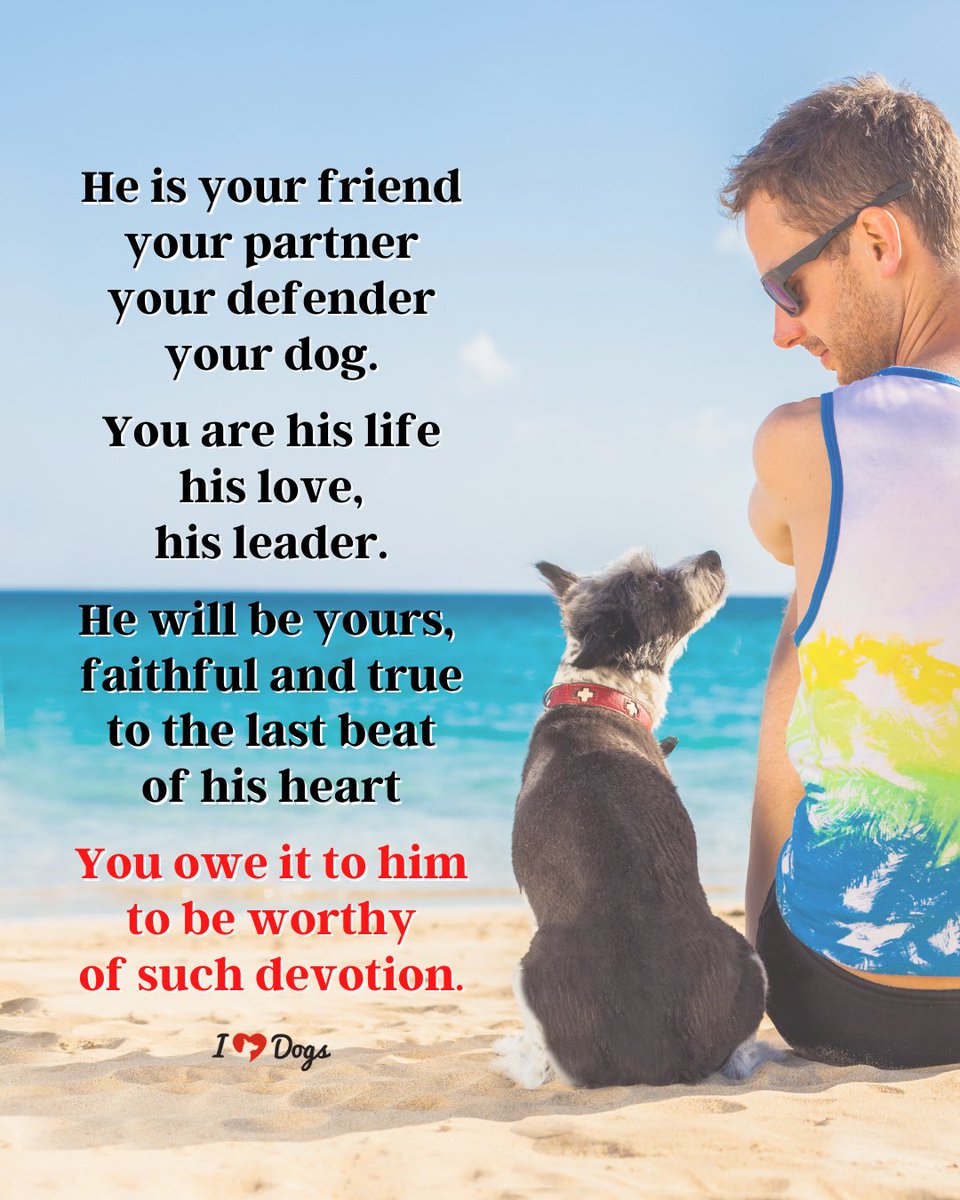 iheartdogs's tweet photo. https://t.co/N7CGrTlHJm