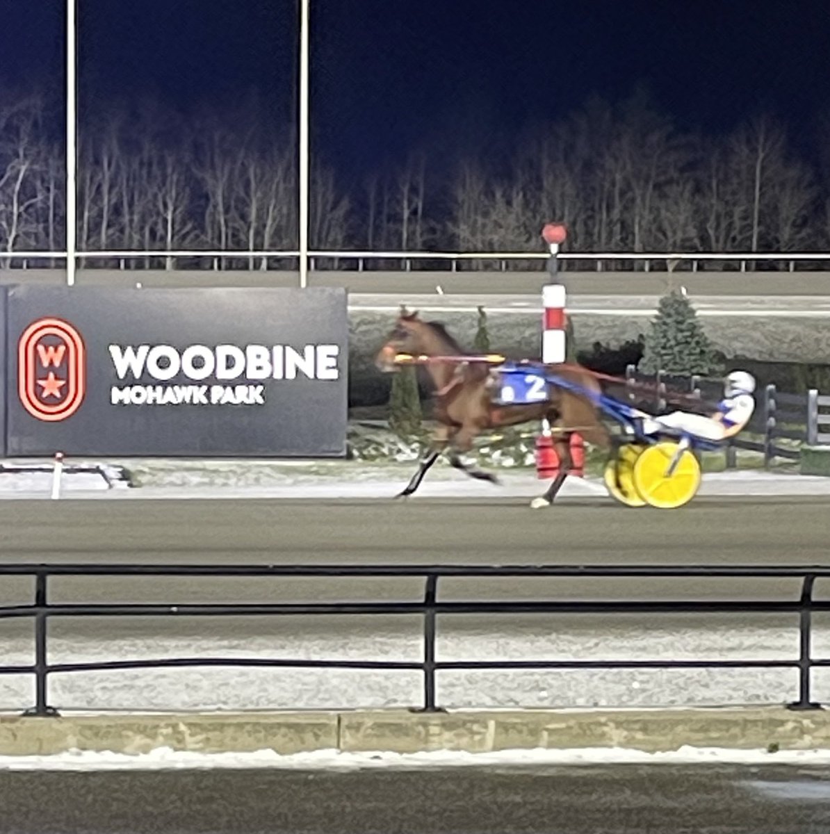 LusiAndAlbert's tweet photo. Good boy, Arthur. Despite the cold gusts, Magical Arthur finished fourth. A nice trip and so close for third. Thank you, Arthur for a nice effort. Many thanks to driver L. Roy and everyone at Shawn Steacy Stable. #horselover #MagicalArthur #homebrred #herdfamily https://t.co/4eaHwgyMux