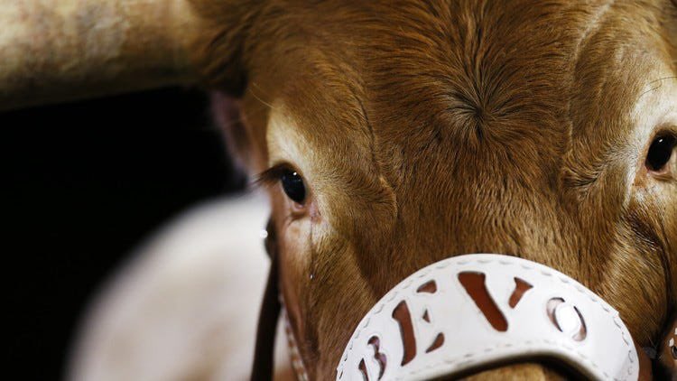 bevo14's tweet photo. If you come for the king, you best not miss. 🤘🏽 https://t.co/tH3RtLRJWM