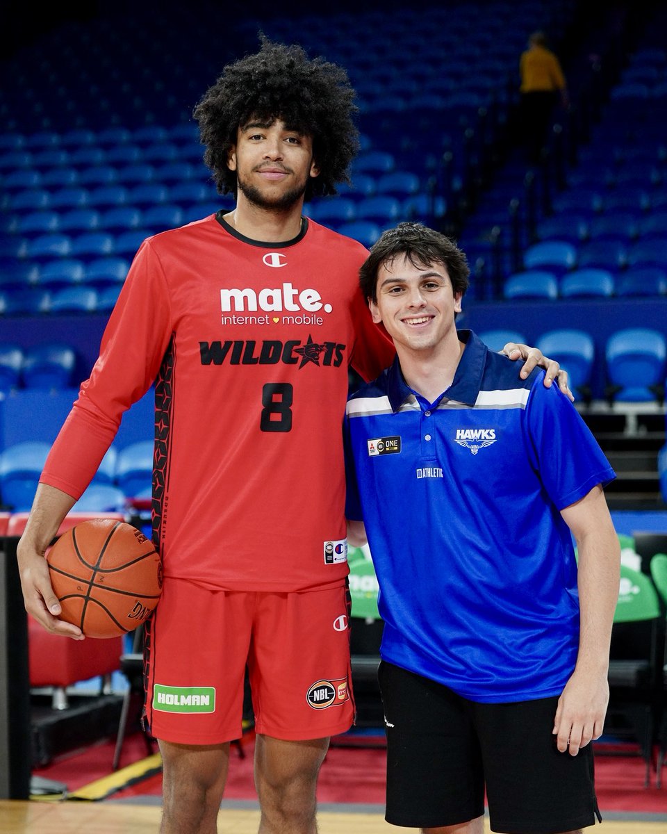 Perth Wildcats tweet media