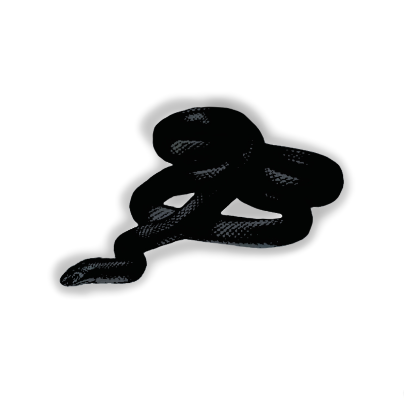 ‍ ‍ ‍ ‍ ‍ ‍ ‍ 𝓜𝙾𝚃𝙷𝙴𝚁 𝙾𝙵 𝕯𝐀𝐑𝐊𝐍𝐄𝐒𝐒. tweet media