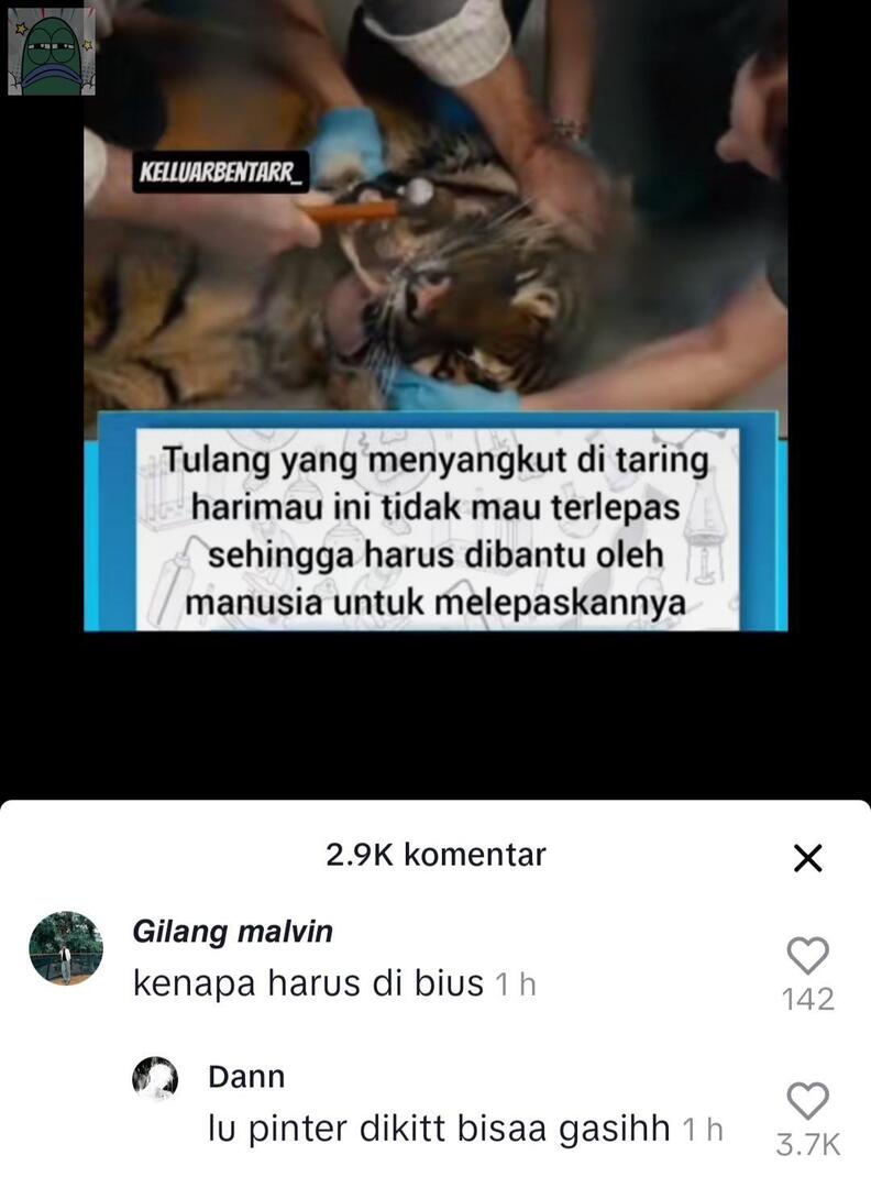 Tanyarlfes tweet media