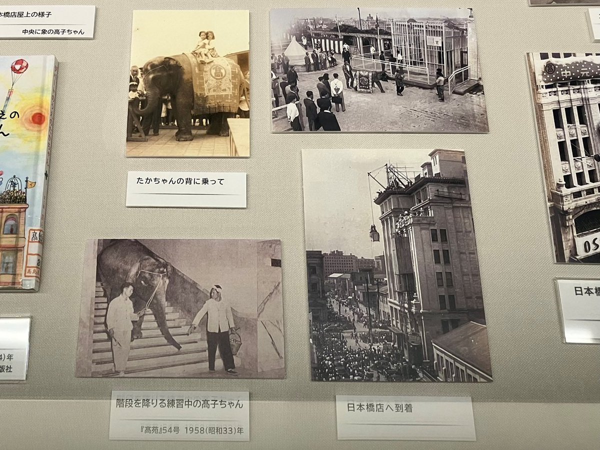 DESIGN MANIA／ 1950（昭和25）年、日本橋店の屋上に小さな象が